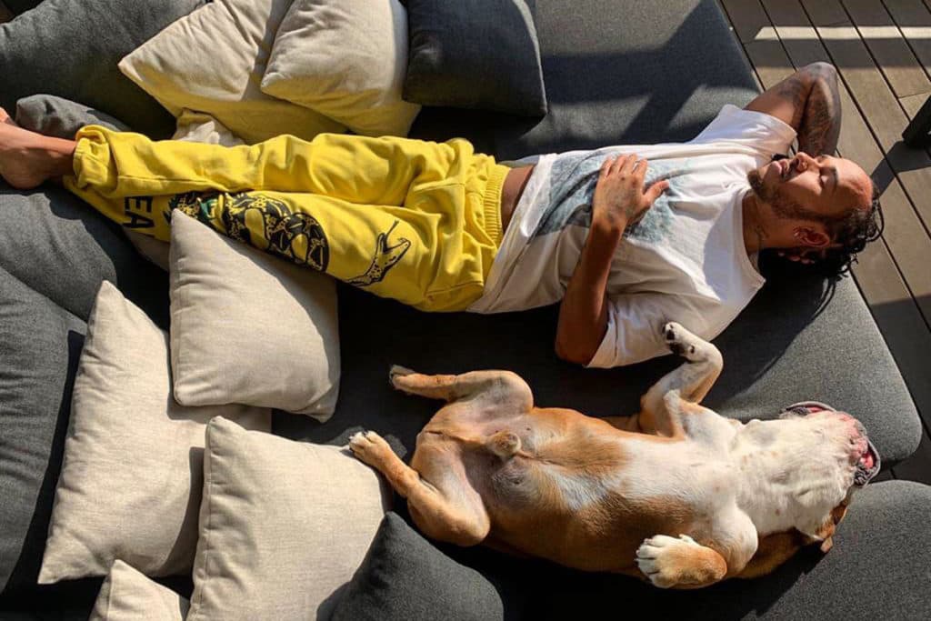Lewis Hamilton mit seiner englischen Bulldogge Roscoe