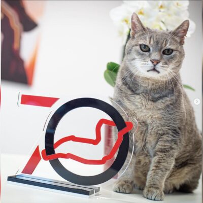 Formel 1 Imola Katze Credit: formulinotheking / Instagram